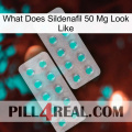 What Does Sildenafil 50 Mg Look Like 29